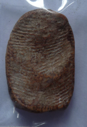 [Auto] เรดอาร์มี่ - พระสังกัจจายน์...ข้างรัศมี.น่าจะเป็นพระกรุ