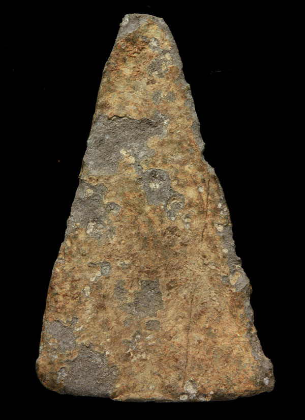 เนื้อชินครับ...