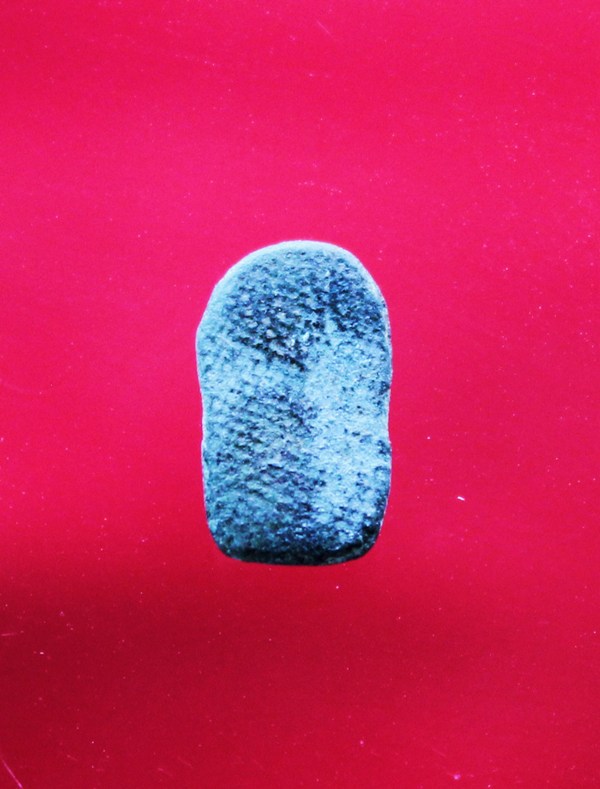 นาคปรกใบมะขามครับ