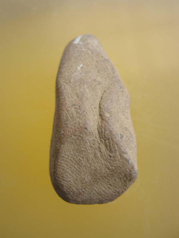 สอบถามผู้รู้ พระถ้ำเสือ องค์นี้แท้มั้ยค่ะ