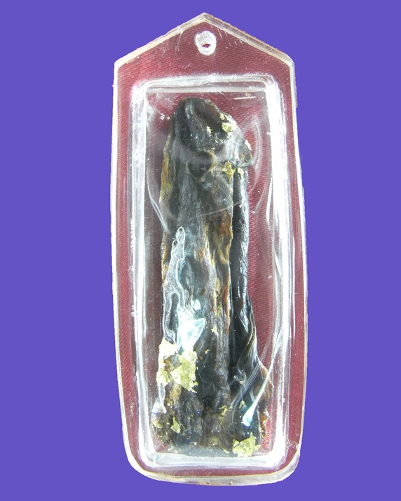 รกแมว มหาลาภ ค้าขายดีค่ะ