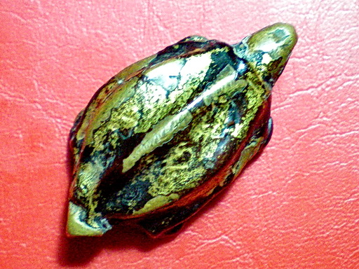 [Auto] chancharoen - ตะพาบโลหะ ไม่ทราบที่มีจารรอบองค์ 