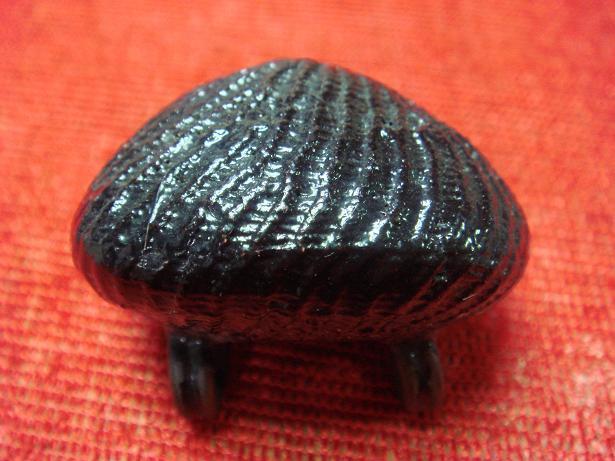 เบี้ยแก้ หลวงปู่บุญ วัดกลางบางแก้ว (มีหลายลูกครับ) แท้ไหมครับ รบกวนพี่พี่ ผู้รู้ ครับ