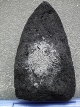 ใช่หลวงพ่อทวดอาจารย์ นอง หรือเปล่าครับ 