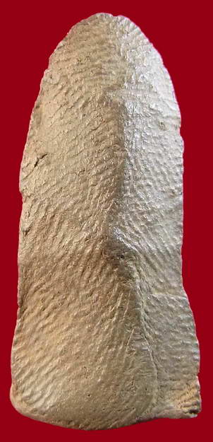 รบกวนผู้รู้พระกรุครับ