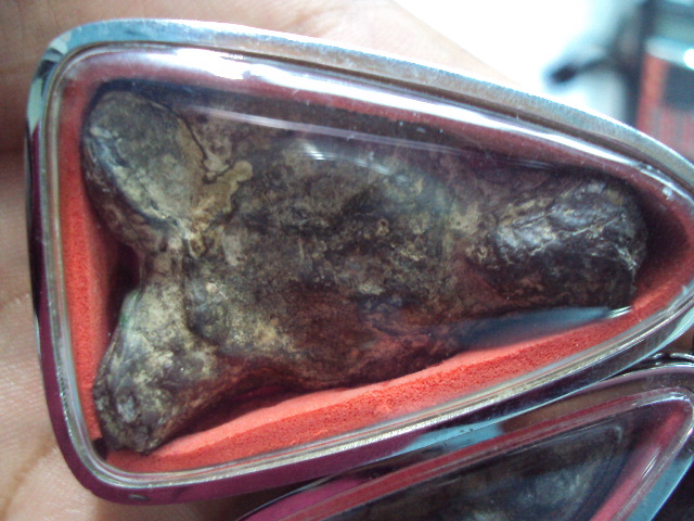 พระร่วง หลวงปู่ยิ้ม หลวงพ่อเนียม ท่ามะปราง