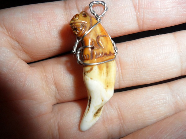 รบกวนสอบถามคะ เขี้ยวเสือ