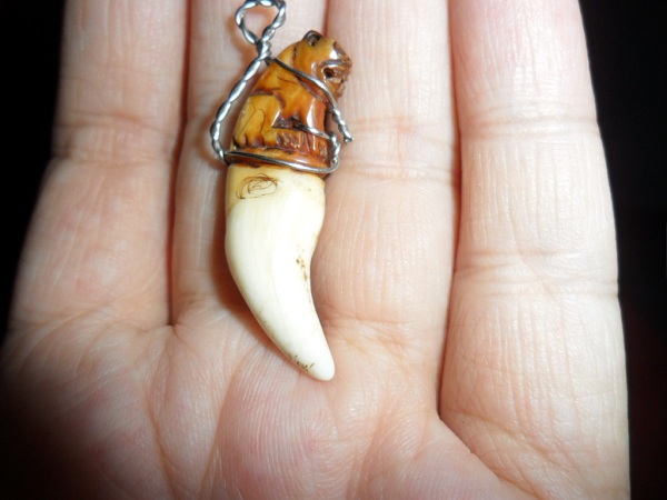 รบกวนสอบถามคะ เขี้ยวเสือ