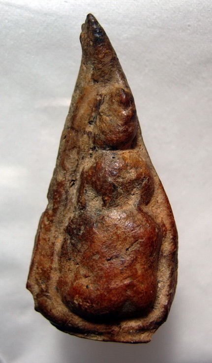 พระเนื้อว่านจำปาศักดิ์ องค์นี้ดีหรือไม่ ช่วยดูหน่อยครับ.