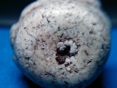 สมเด็จทรงแปลกแล้วช่วยพิจารณาด้วยครับ