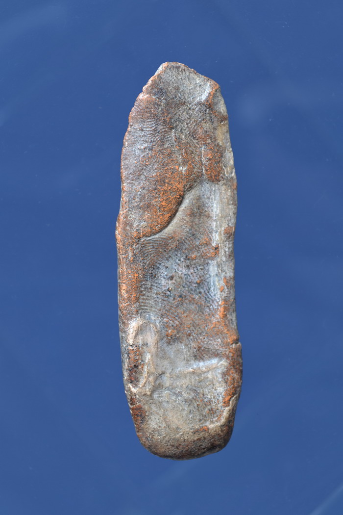 พระกริ่งเชียงแสน วัดวังกะโจม นครนายก