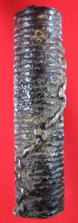 ตะกรุดหลวงปู่เอี่ยม