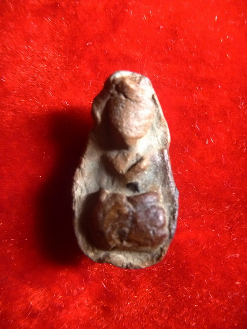 สอบถามพระถ้ำเสือครับ