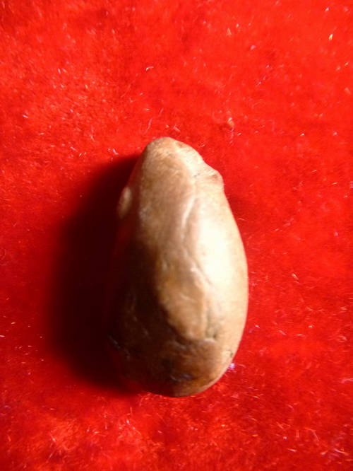 สอบถามพระถ้ำเสือครับ