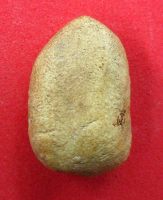 วัดพลับครับ