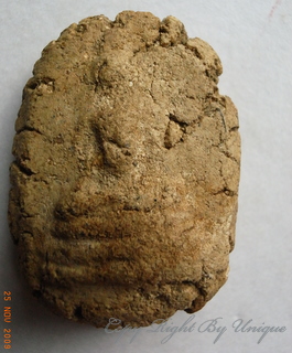 รบกวนเพื่อนๆด้วยครับ 