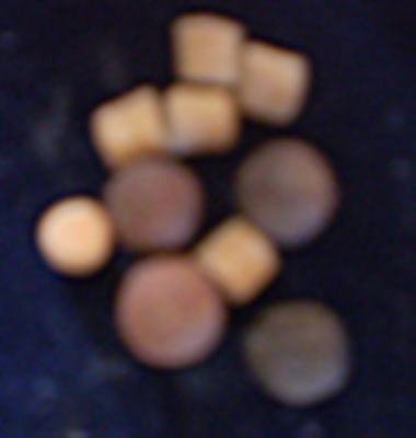 เม็ดยา ปู่เพิ่ม แท้ๆ100%