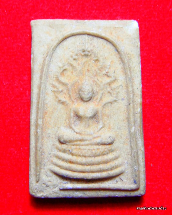 นาคปรคครับ