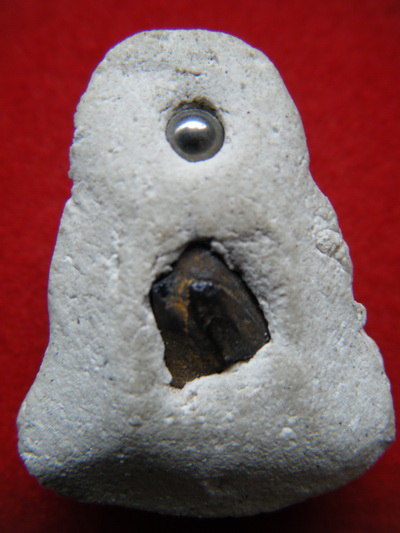 ปิตตา หลวงปู่ทิม วัดละหารไร่ ระยอง พิมพ์จัมโบ้ ปี17