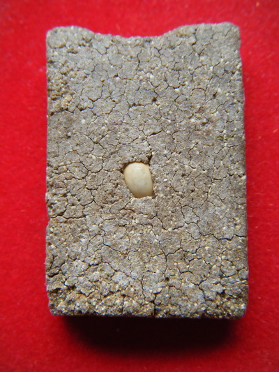 สมเด็จ หลวงปู่ทิม วัดละหารไร่ ระยอง พิมพ์พิเศษหลังฝั่งเม็ดมะกํ่าเนื้อกระยาสารท