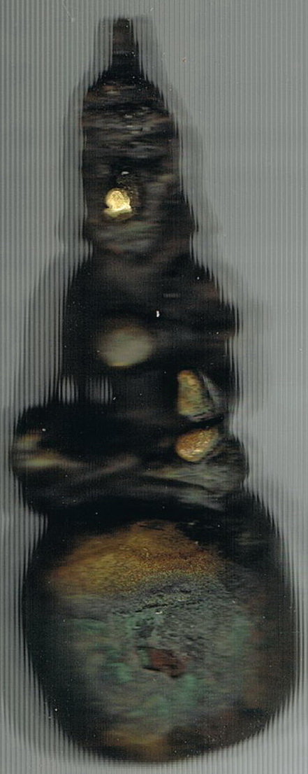 พระแถมมากับพระกริงร.5 องค์30000 บาทไม่ทราบว่าพระอะไรครับ