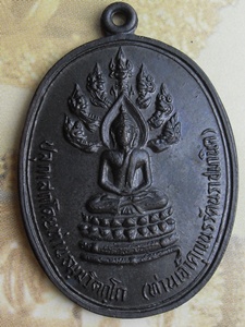 พระนาคปรกจเร