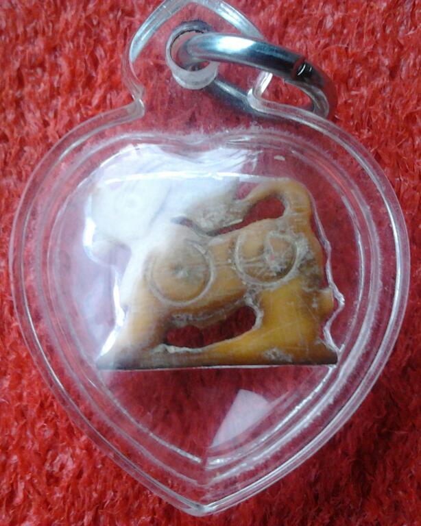 สิงห์งาแกะเก่า