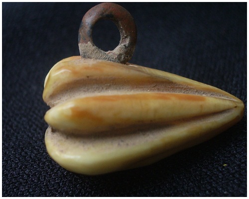 มะเฟือง หลวงพ่อพัก วัดโบสถ์ สามโก้ อ่างทอง เนื้องา 6 กรีบ แห้งเดิม ห่วงสมบูรณ์