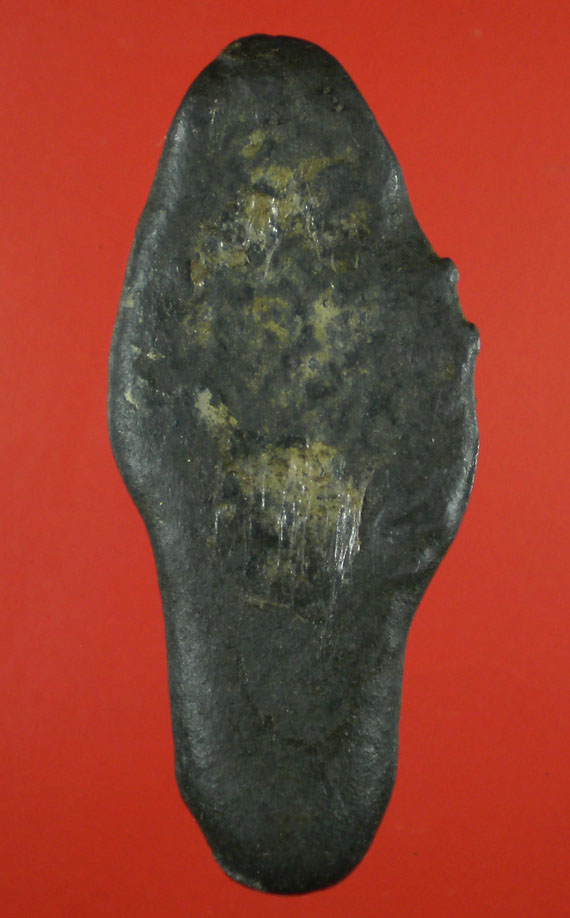 พระนาคปรกเนื้อชิน