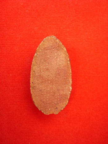 ชินราช เนื้อผง ครับ