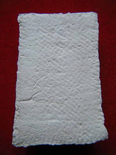 พระ สมเด็จบางขุนพรหม ปี09 พิมพ์อกครุฑ