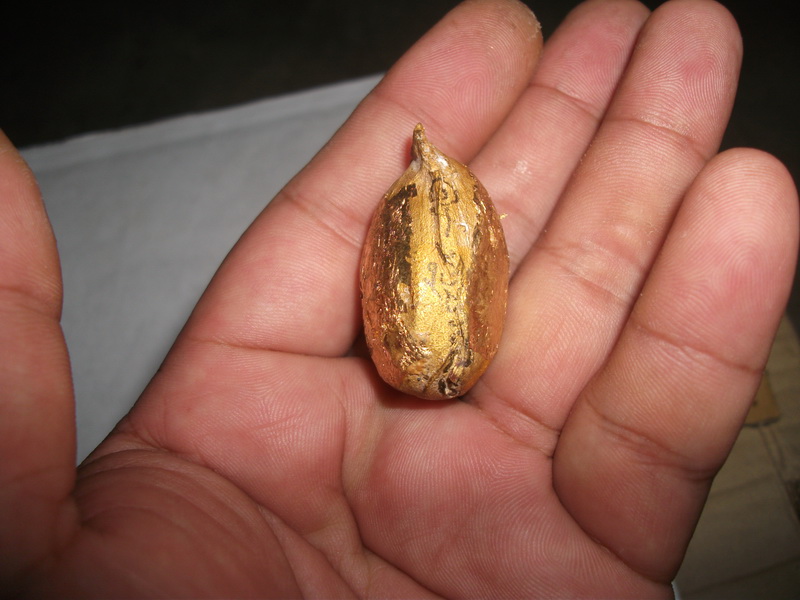 คตขนุน (เม็ดขนุนกลายเป็นหิน) หลวงพ่อยิด วัดหนองจอก เมตตา ลงยันต์ปลุกเสกให้ 