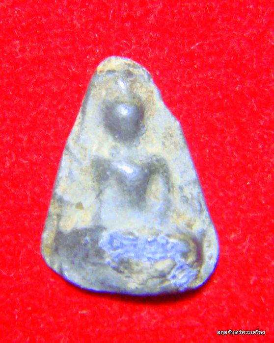 นางเนื้อชินครับ