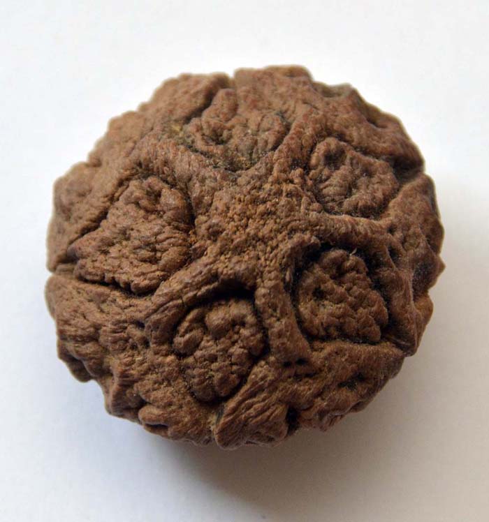 รบกวนสอบถามวัตถุมงคลตามภาพ