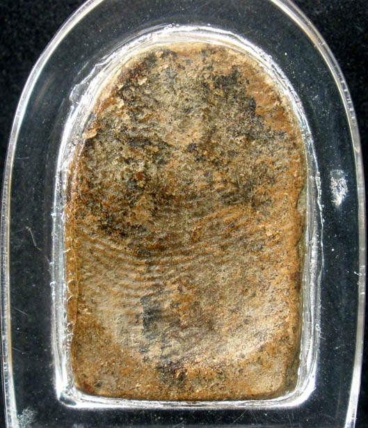 พระซุ้มกอพิมพ์กลาง  แท้ไหมครับ