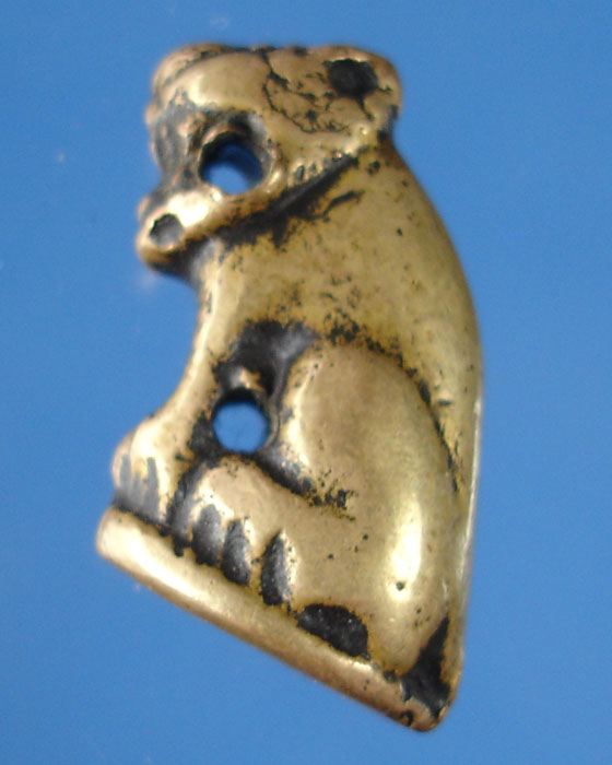 เสือหลวงพ่อปาน??????