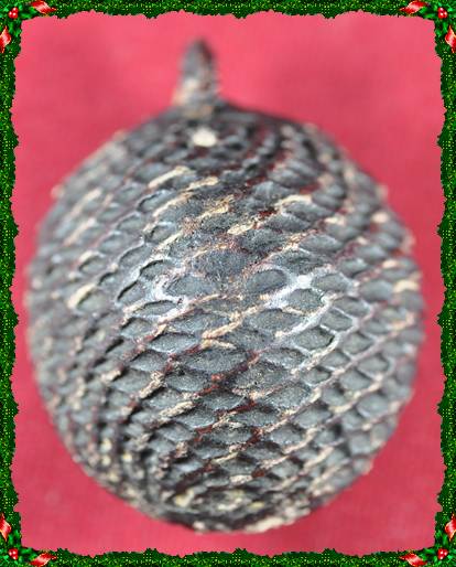 เบี้ยแก้