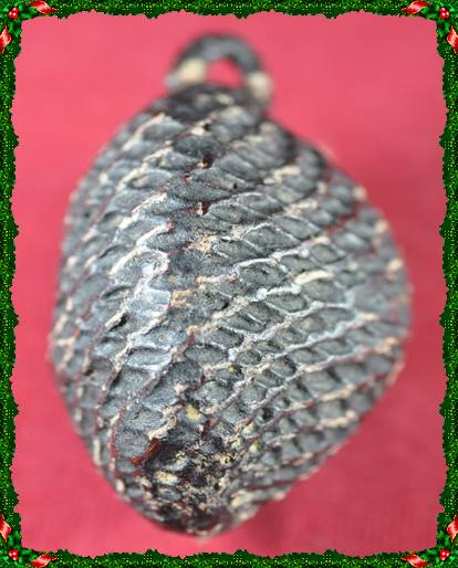 เบี้ยแก้