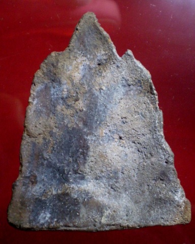 โคนสมอซุ้มปราสาท แท้ไหม