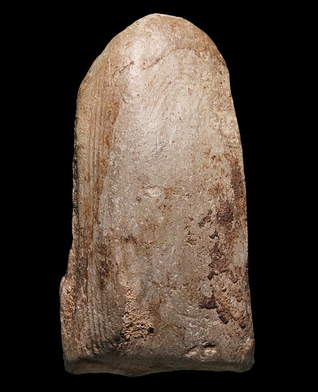 รบกวนอาจารย์ครับสอบถามพระรอดและพระกรุเนื้อดินครับไม่ทราบที่มาครับผม