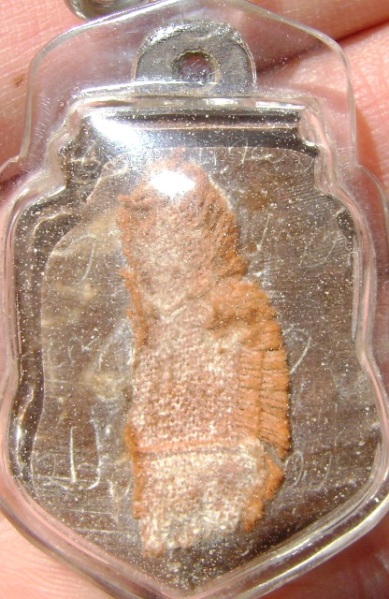 รบกวนสายตรงช่วยติชมด้วยครับ กะลาหลวงพ่อปิ่น วัดศรีษะทอง