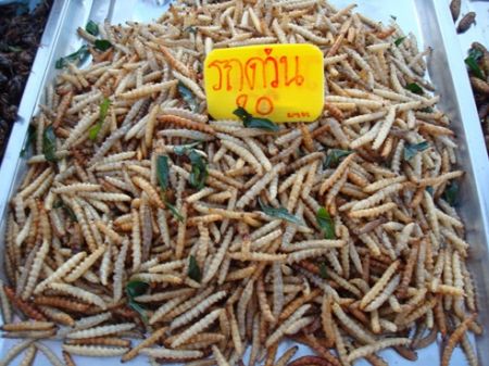 ขายรถด่วน ราคาถูกๆ(ถูกมาก)จำเป็นต้องใช้เงินครับ มีหลายคัน