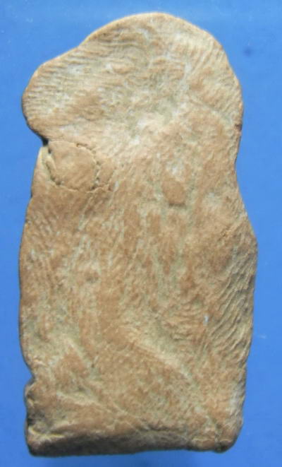 พระเนื้อดิน ไม่ทราบที่ครับ 