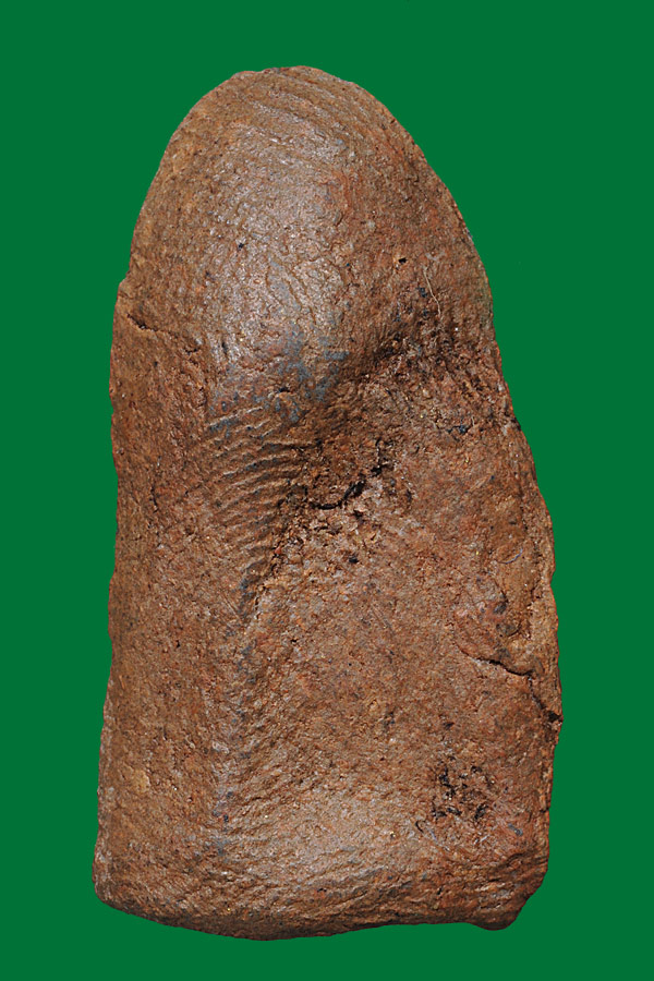 พระรอดพิมพ์ใหญ่ รบกวนทุกท่านช่วยดูให้ด้วยครับ