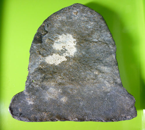 พระหลวงพ่อหมอ...ครับ