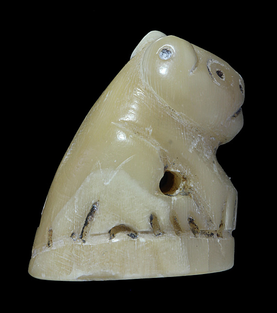 งาแกะหรือเขี้ยวครับ