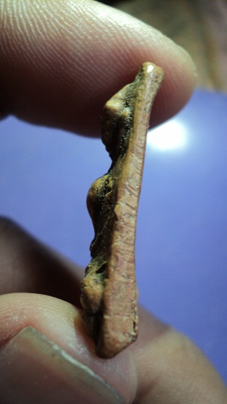 สอบถามพระผงสุพรรณครับ ขอคำชี้แจ้งหน่อยครับ