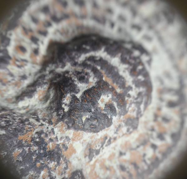 นาดูนครับ