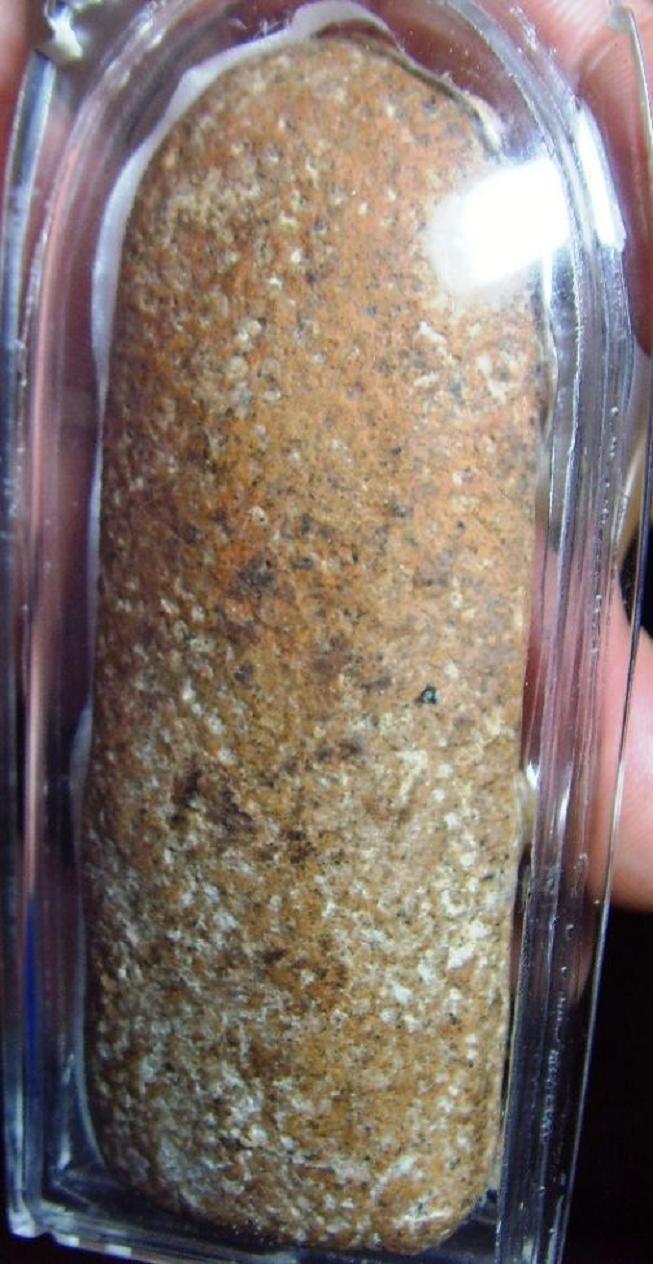 นาดูนปรกใหญ่ชี้แนะด้วย
