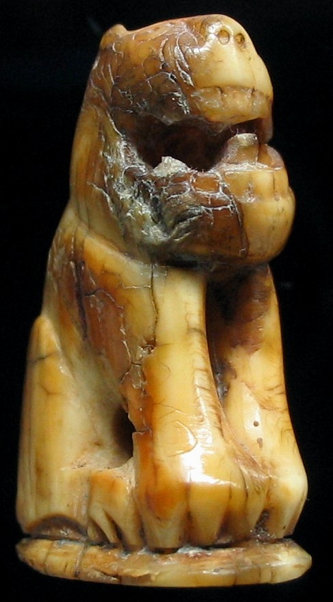 เสือ ครับ